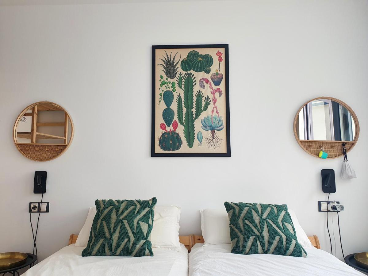 Casa Aloe Vera *