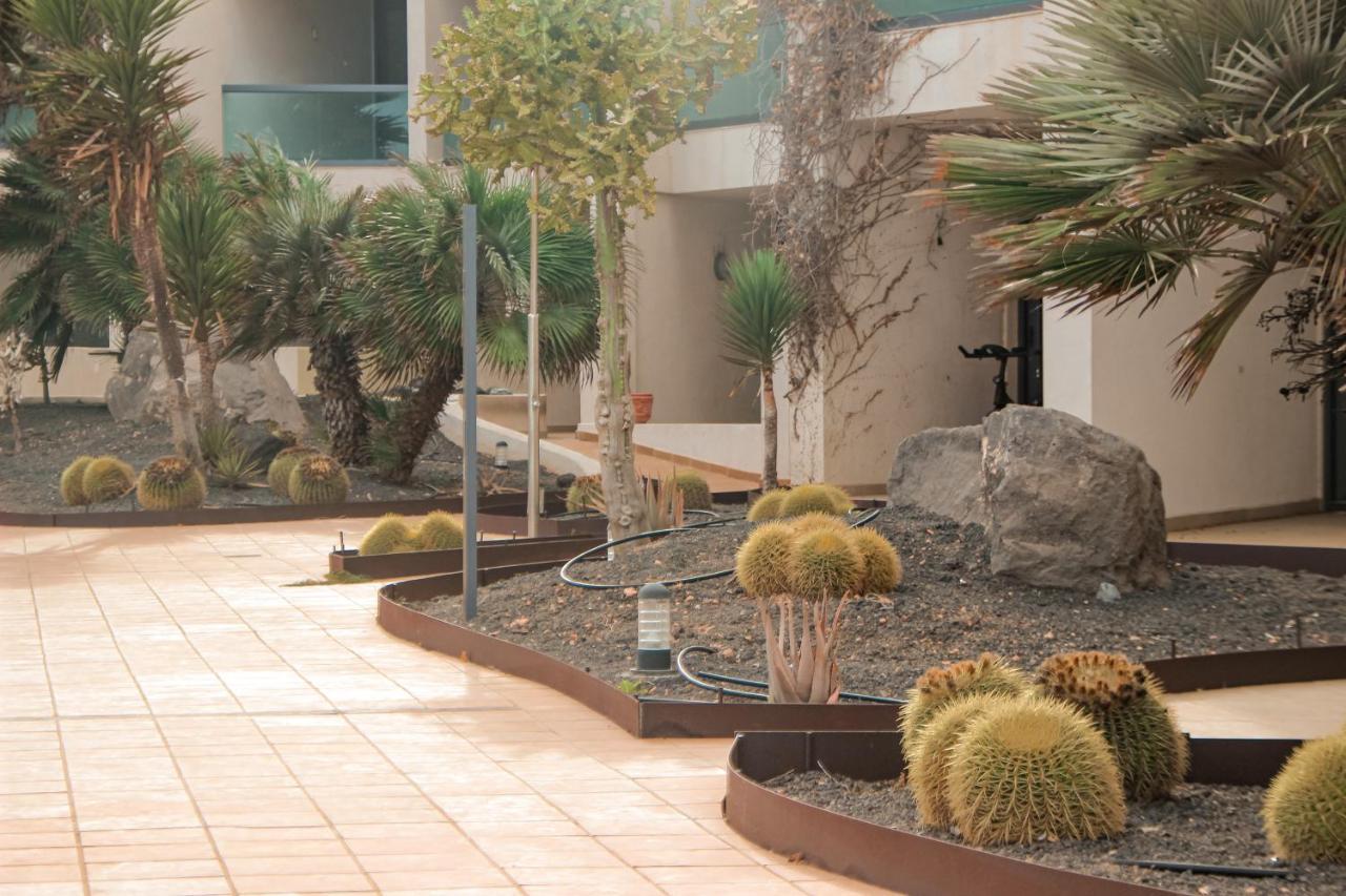 Casa Aloe Vera