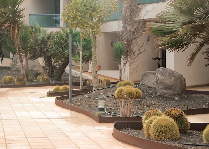 Casa Aloe Vera